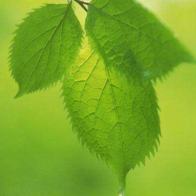 万博手机版max网页版(中国)官方网站